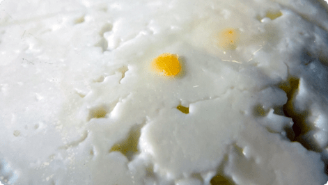 caso_exito_queso_hongo